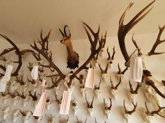 Poľovník v pandémii...