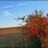 cestou von okolo hlohu ...