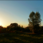 podvečer na pastve ...