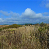 cestou do revíru ...