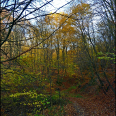 cestou do revíru ...