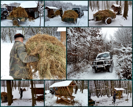 vyviezli sme trochu sena aj s Deniskou ...