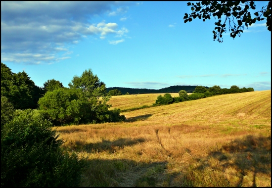 letná idylka ...