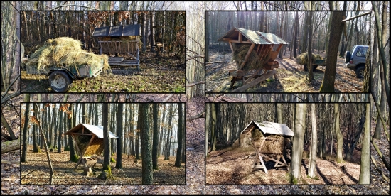 Silvestrovský rozvoz sena ...