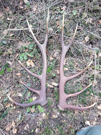 Nepravidelný 14 tak