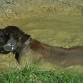 Trošku ochladenia nezaškodí!