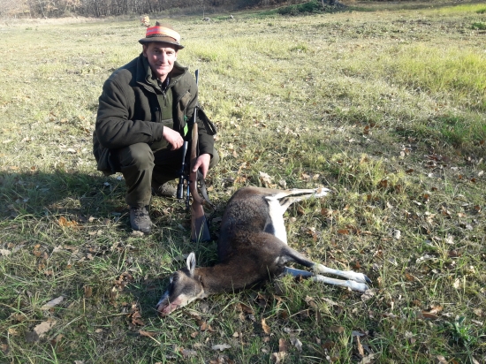 Moja prvá muflonka.