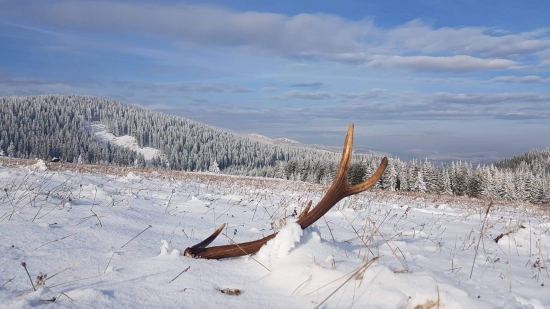 Kamarátov,prvy v živote.
