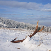 Kamarátov,prvy v živote.