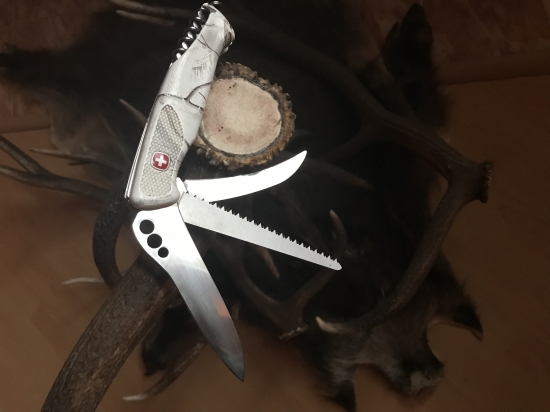 Wenger s Elmax cepelou