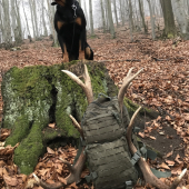 Moje čierne šťastie