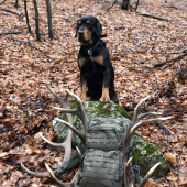 Moje čierne stastie2