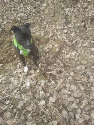 dohladany...samozrejme vdaka dzeky..