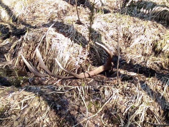 Dnes 12toracik pekny