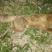 Ďalšia v poradí 8