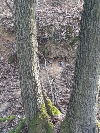 Kto hľadá nájde a da hlas