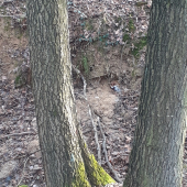 Kto hľadá nájde a da hlas