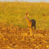 Pekný jesenný večer