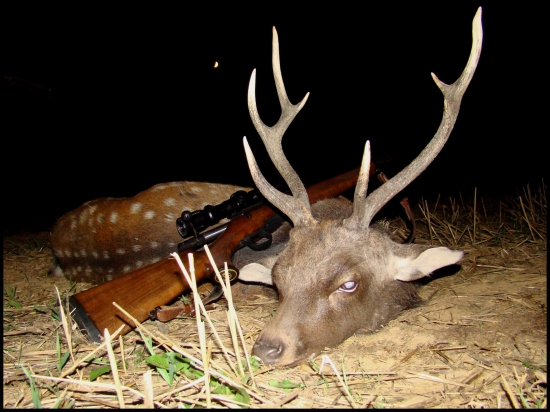 Sika