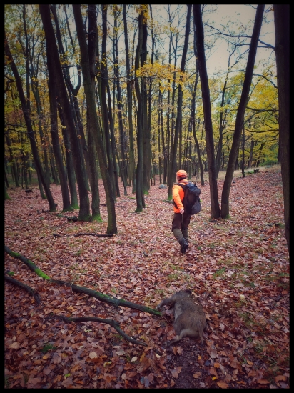 S úlovkom v pätách