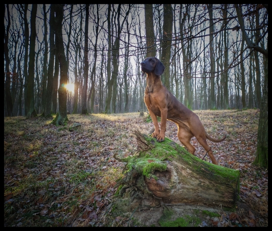 Keď pózuje...