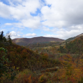 z potuliek v októbri...