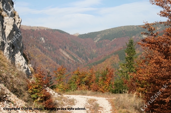 Veľká Fatra v pestrom šate