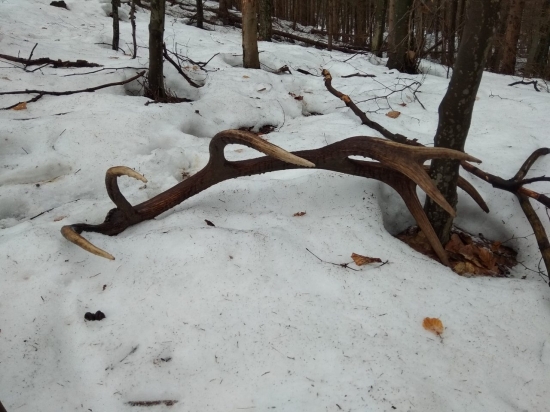 Po troch dňoch su opeť spolu...