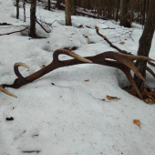 Po troch dňoch su opeť spolu...