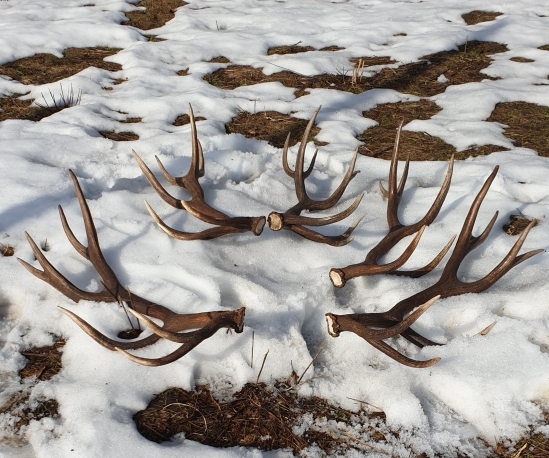 Po troch rokoch po sebe...