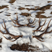 Po troch rokoch po sebe...