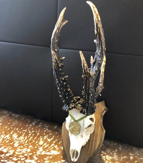 226,5b 32cm