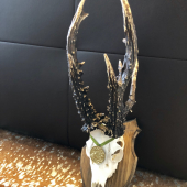 226,5b 32cm