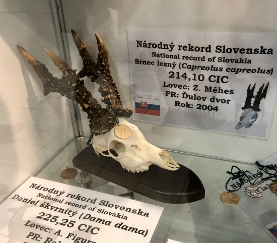 Slovenský rekord srnca 214b replika