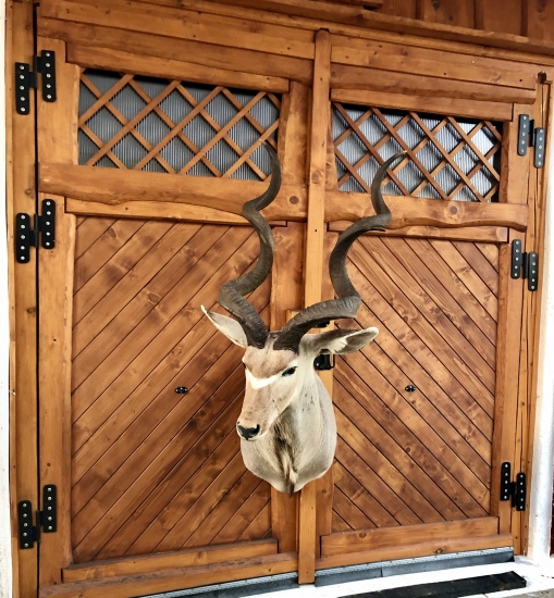 Zlatý Kudu
