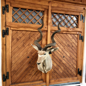 Zlatý Kudu