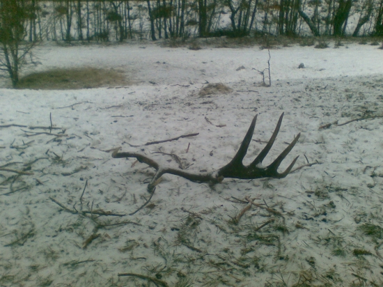 Februárová radosť 2018