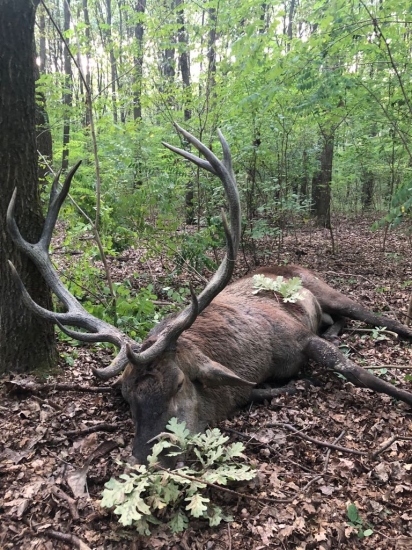 Kráľ je mŕtvy ...