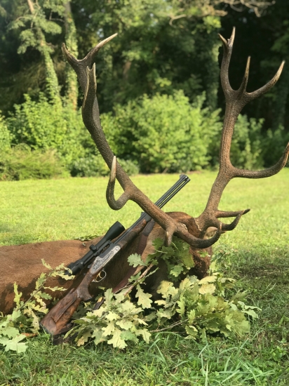 9,3x74 skolila kráľa