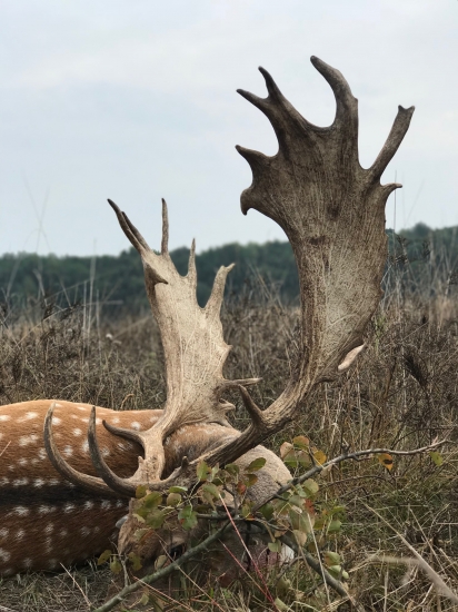 CCa 200 CIC (Lónya, Maďarsko)