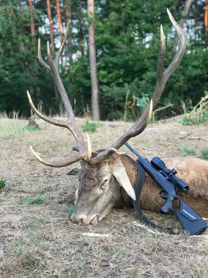 Úspešne dohľadaný