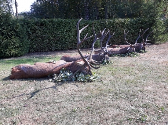 Po dvoch úspešných vychádzkach ...