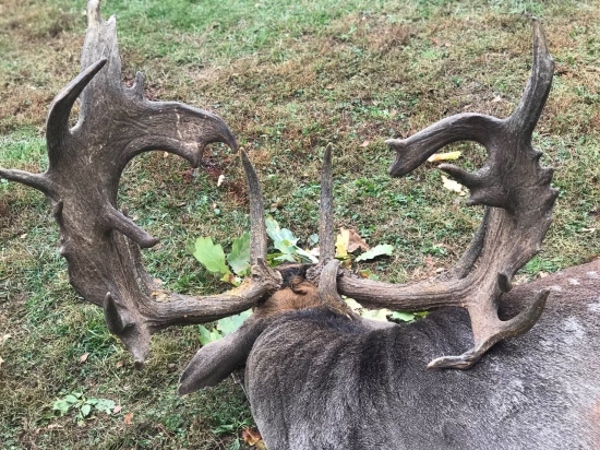 Tohto roku najkrajší ...