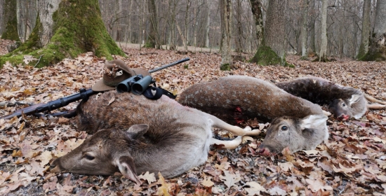 Uspešné nedeľné ráno