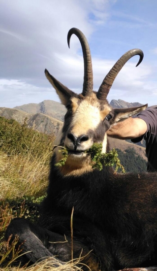 Rumunsko 2018 kamzíky