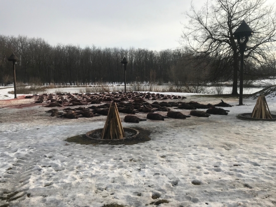 Za 2 dni v Gúthe ...