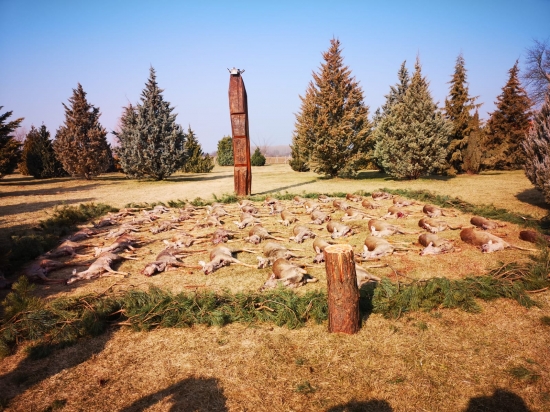 Poľovačka na srnčatá v Maďarsku