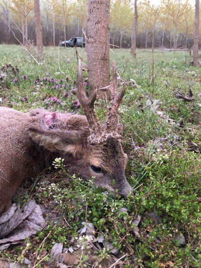 Jeden z lepších ....