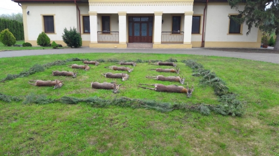 Paušálny lov srncov