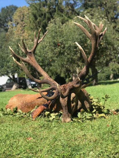 Zlatý jeleň (pohľad z opačnej strany)